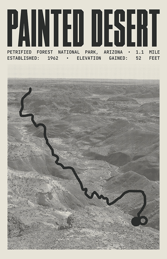 Painted Desert Rim Trail Poster | Petrified Forest National Park Prints