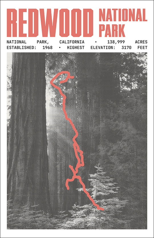 Redwood National Park Poster