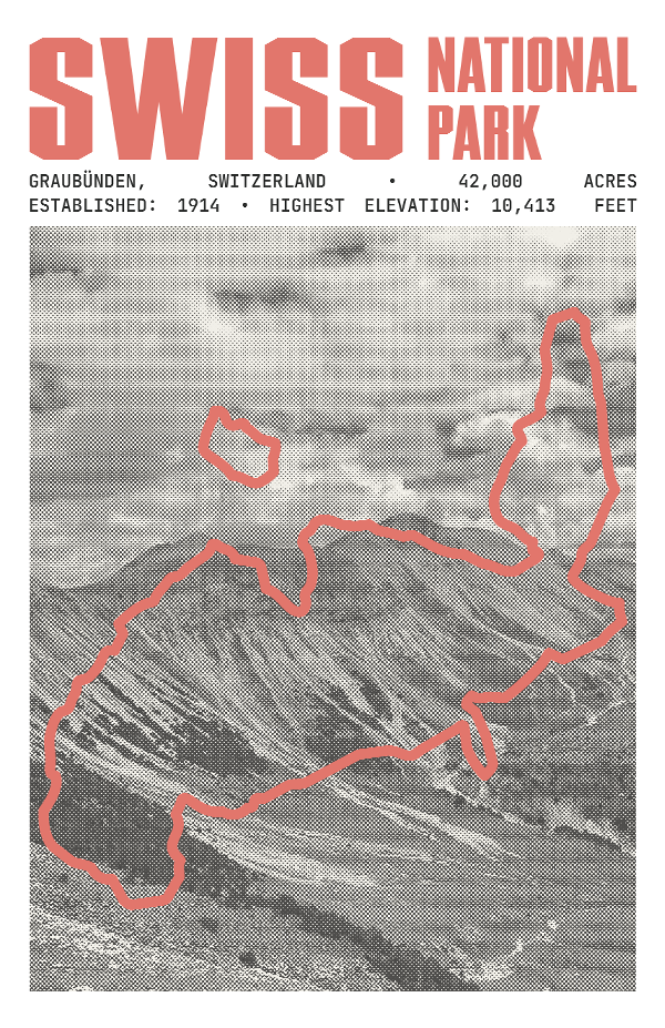 Swiss National Park Poster
